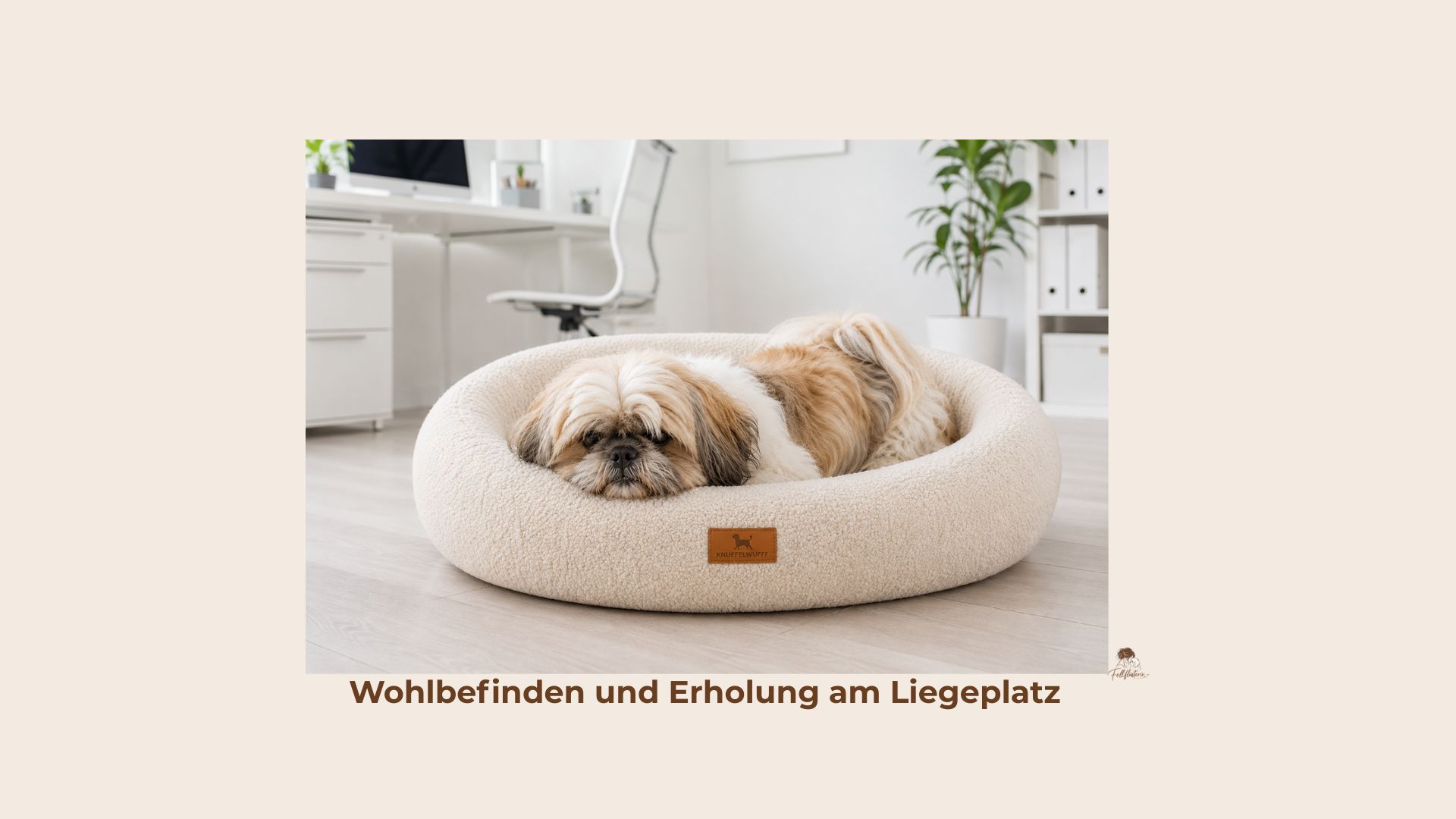 Mein Schlafplatz ist einfach toll
