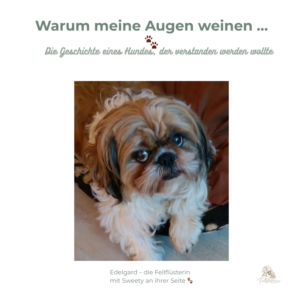 Bilderbuch.jpg