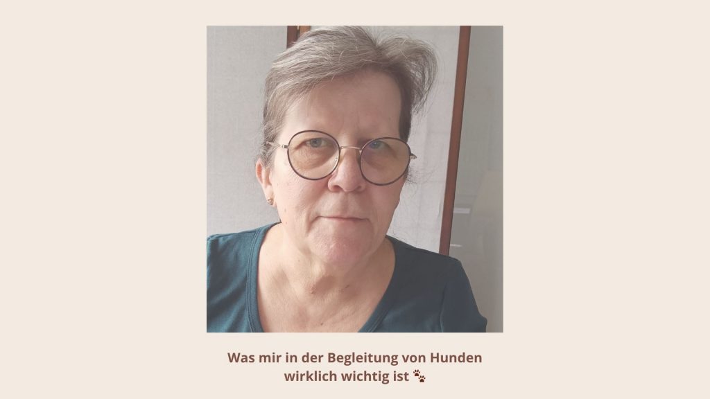 Wie ich arbeite als Begleiterin der Hunde