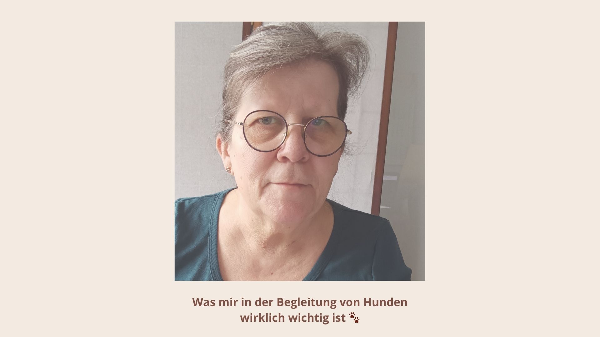 Wie ich arbeite als Begleiterin der Hunde