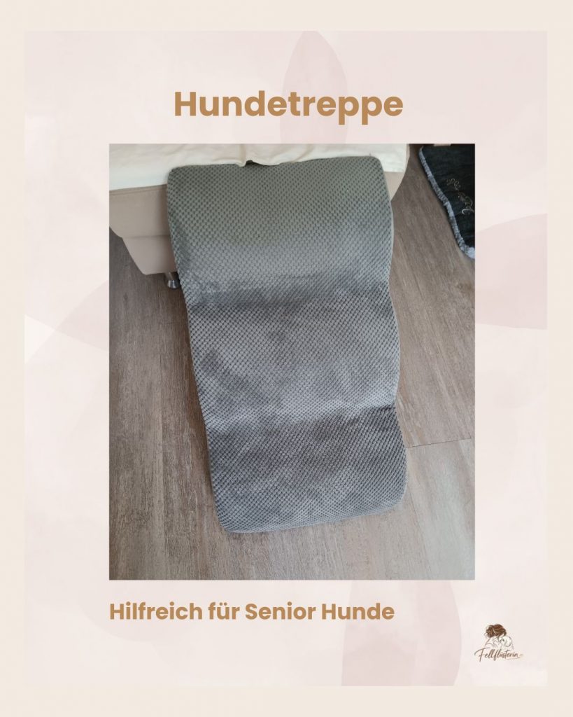drinnen.jpg