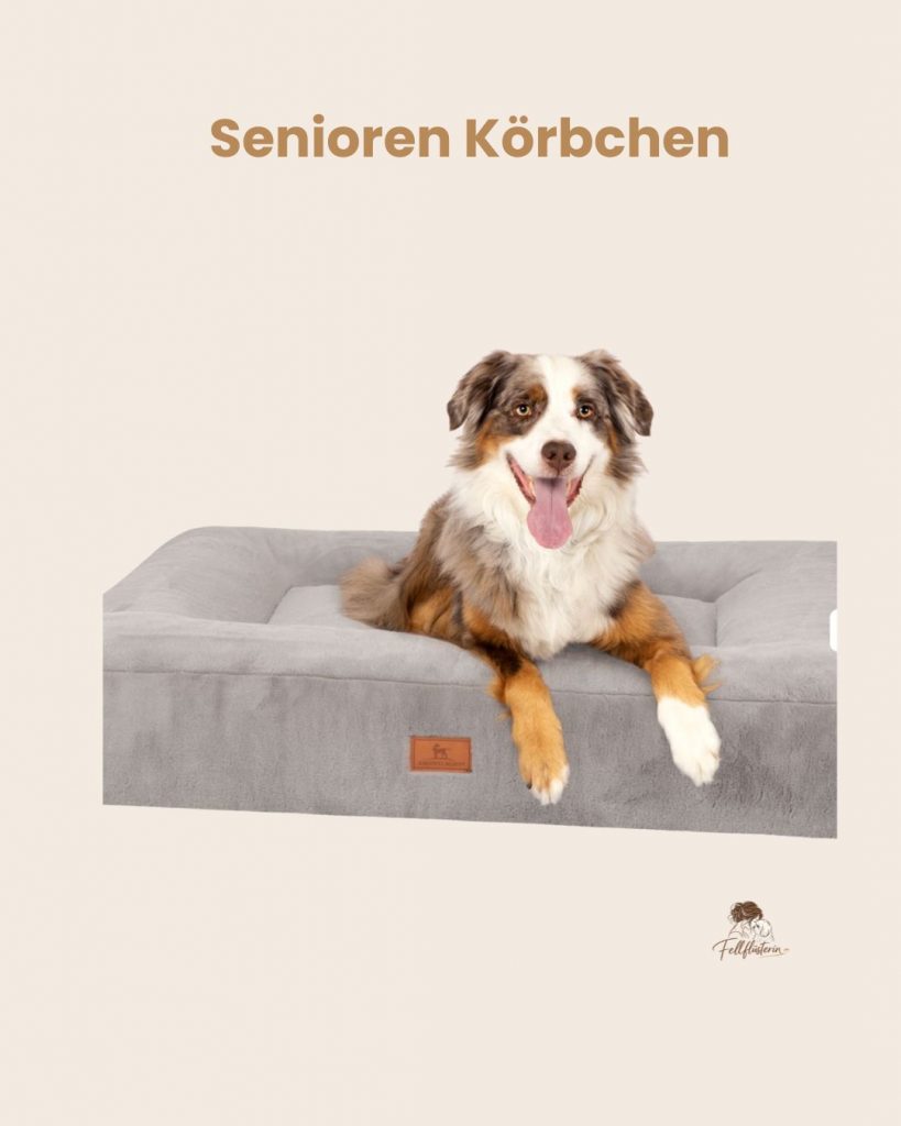 seniorkörbchen.jpg