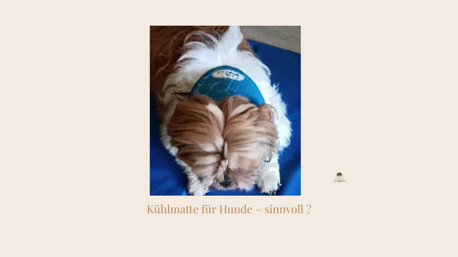 Kühlmatte sinnvoll oder eher nicht?