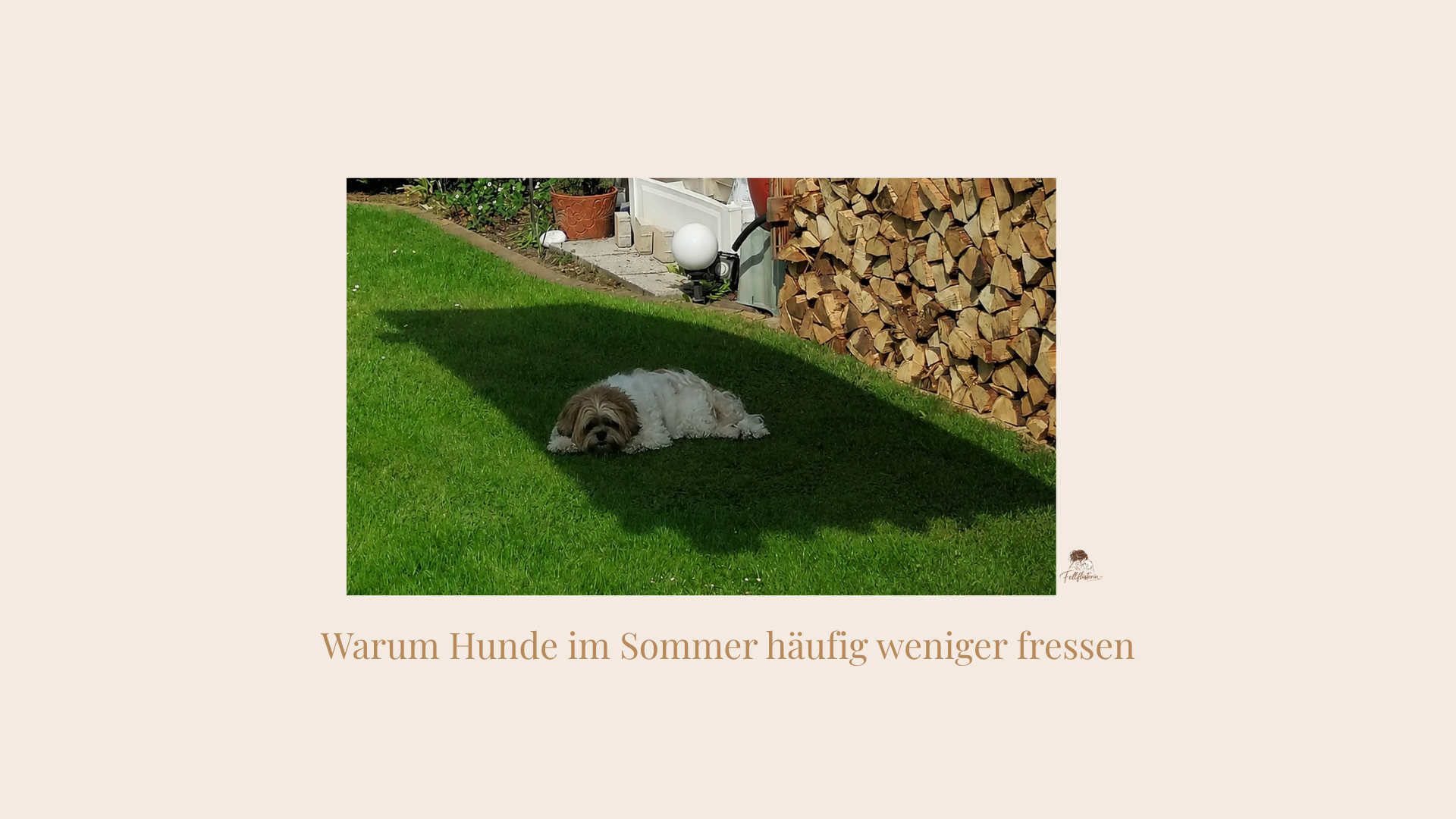 ernaehrungimsommer