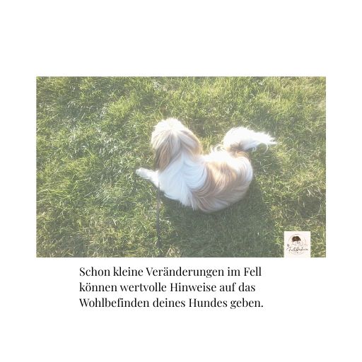 Schon kleine Veränderungen
