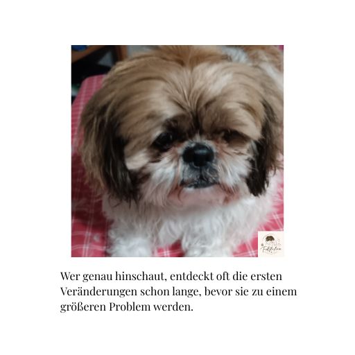 Veränderungen erkennen bevor Probleme entstehen
