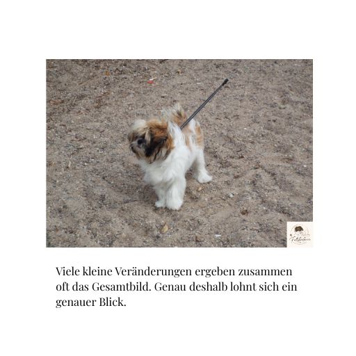 Veränderungen ergeben ein Gesamtbild